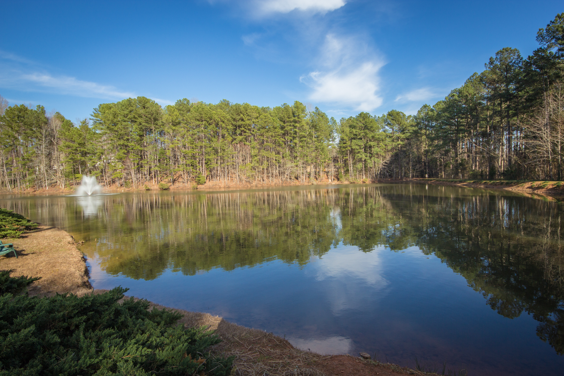 pond